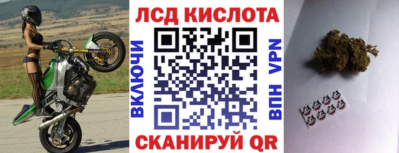 Наркотические марки 1500мкг Елец