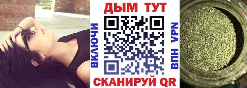 Бошки Шишки план  где найти наркотики  Елец 